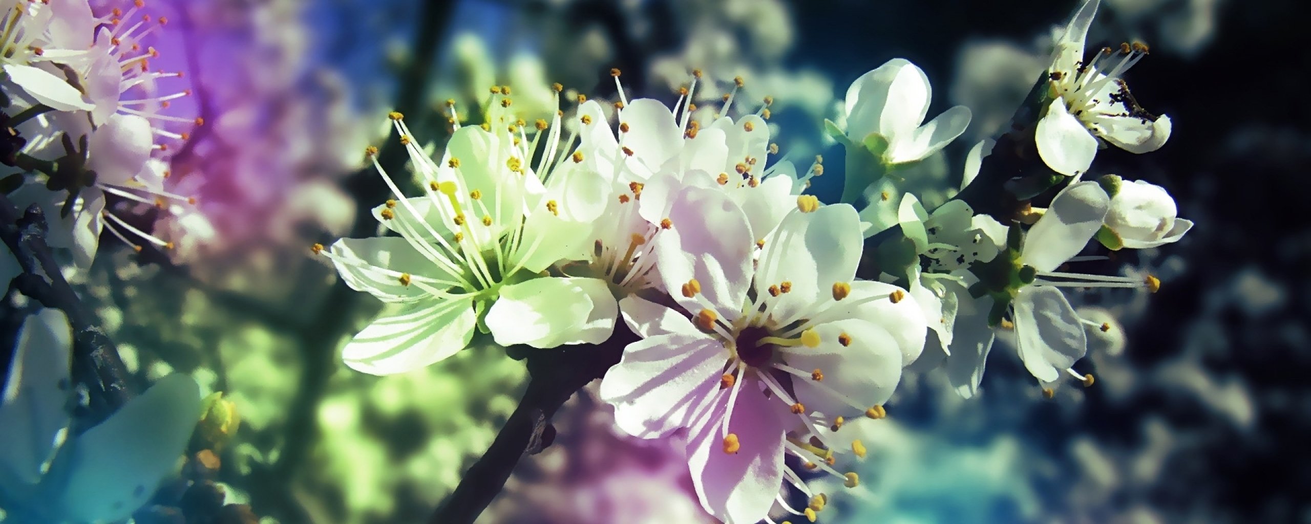 multi, Monitor, Dual, Screen, Widescreen Wallpaper