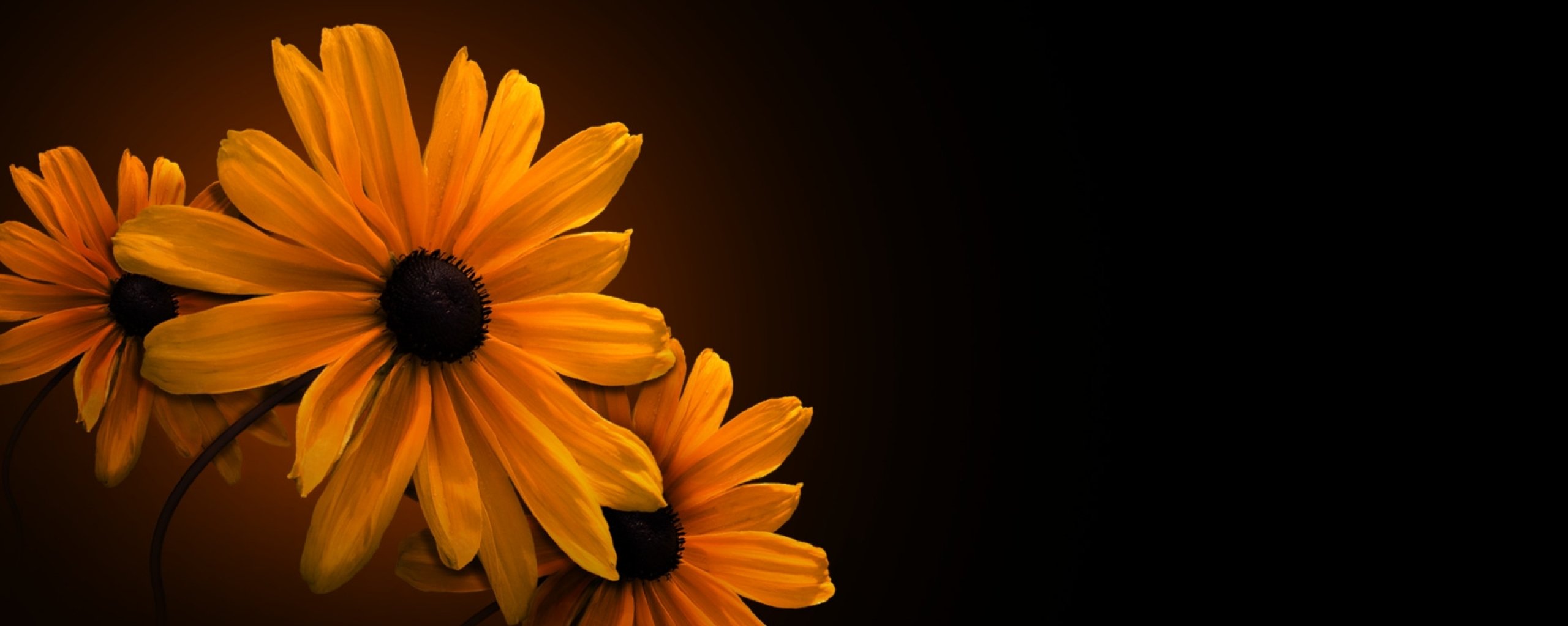 multi, Monitor, Dual, Screen, Widescreen Wallpaper