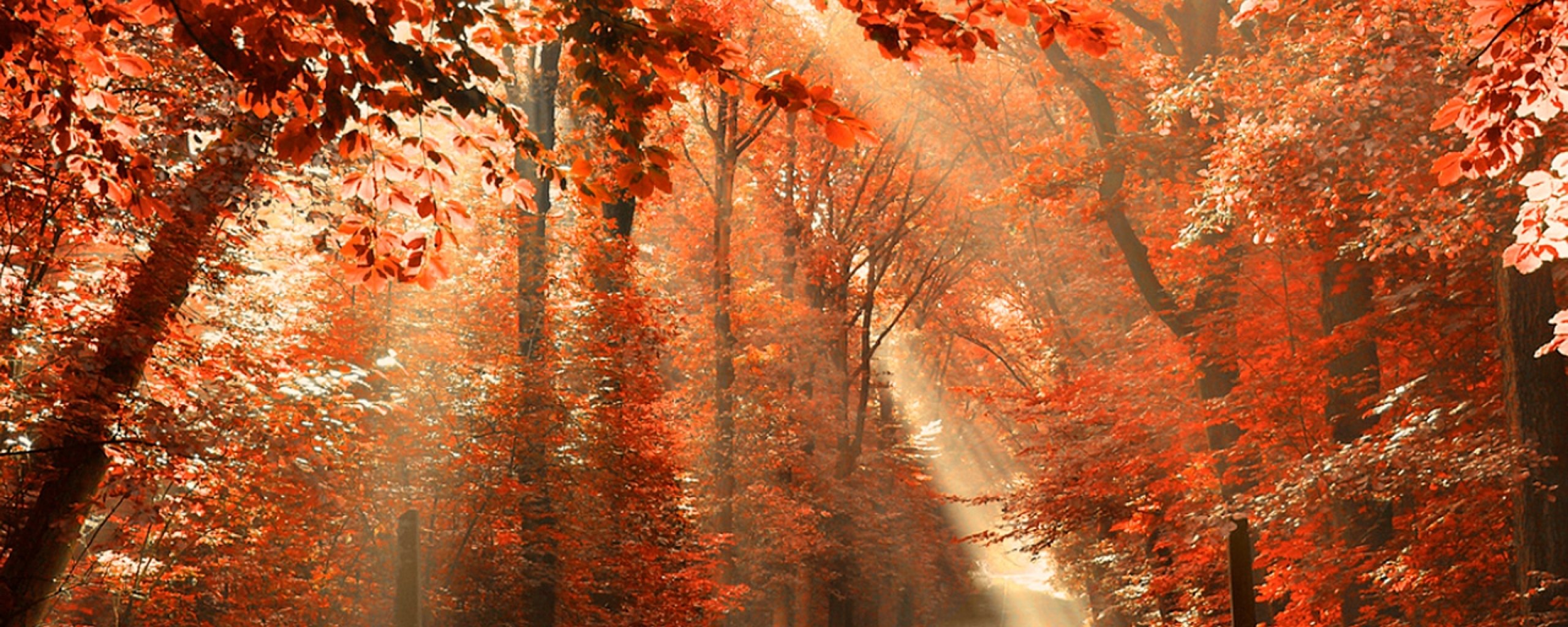 multi, Monitor, Dual, Screen, Widescreen Wallpaper