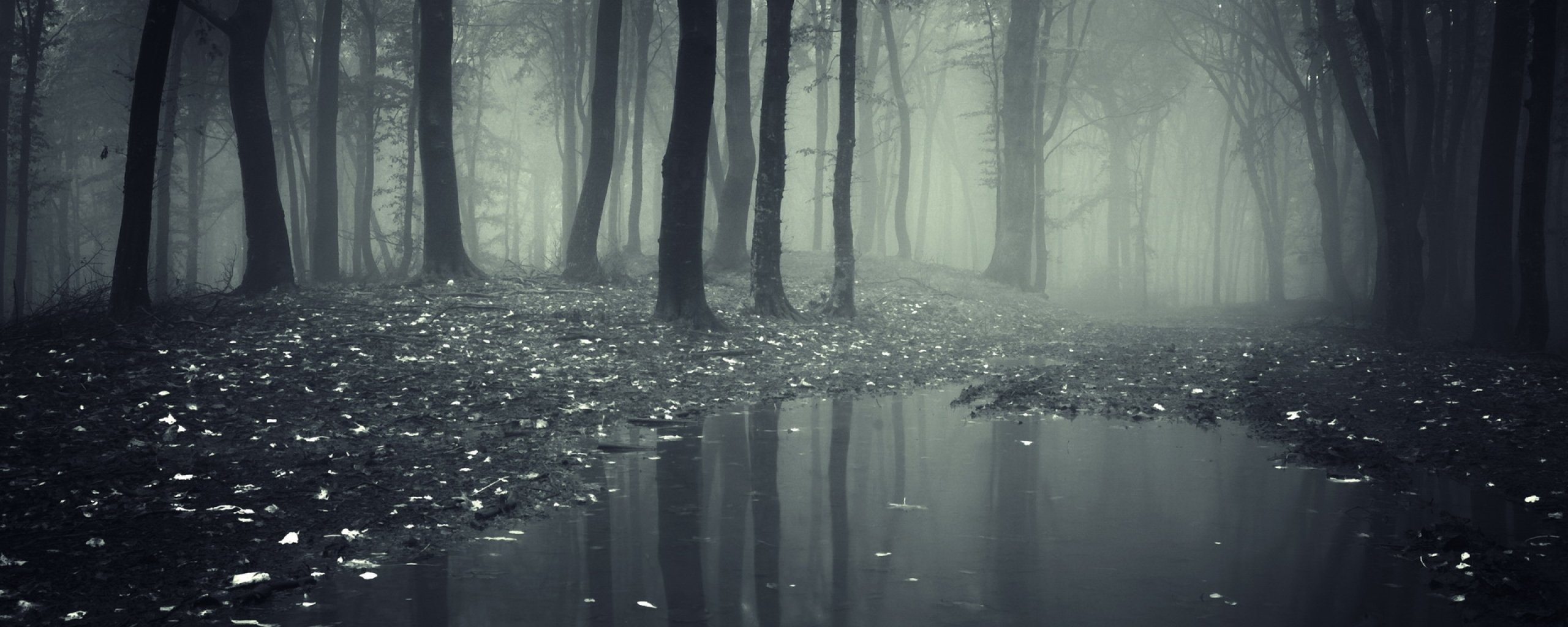 multi, Monitor, Dual, Screen, Widescreen Wallpaper