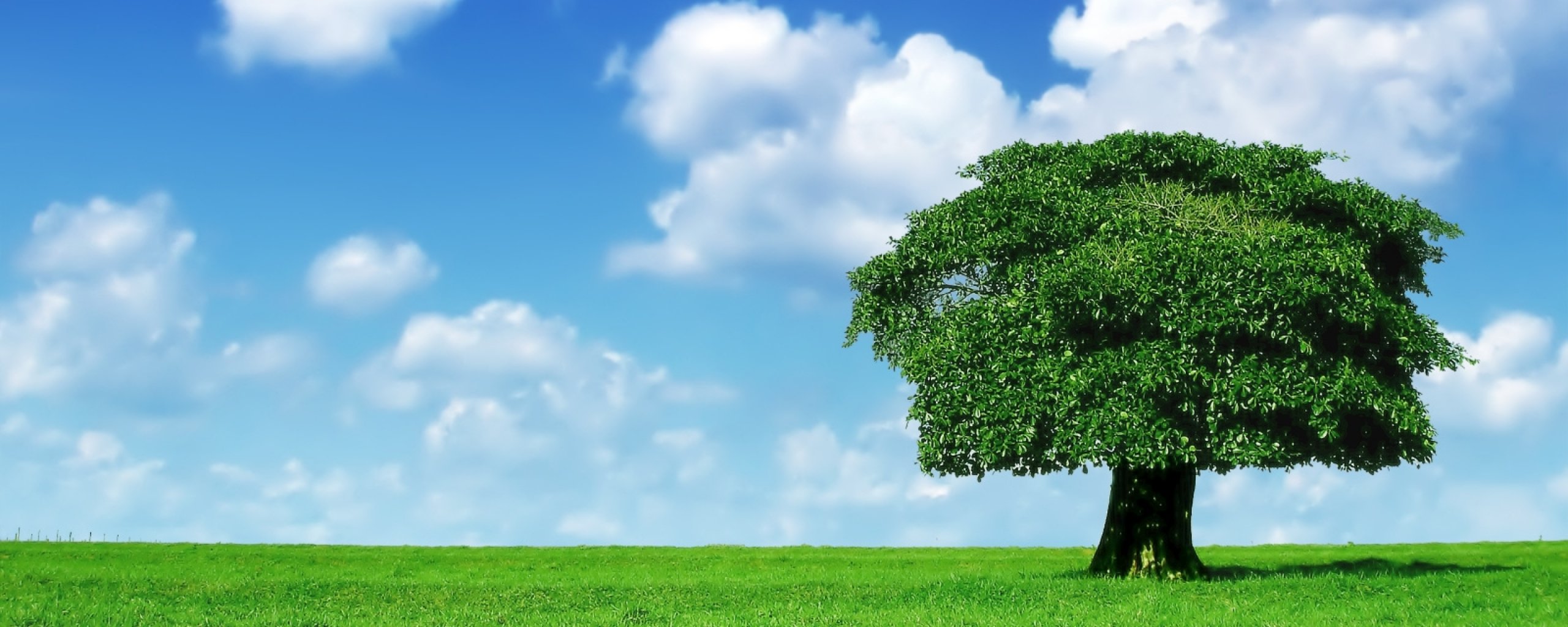 multi, Monitor, Dual, Screen, Widescreen Wallpaper