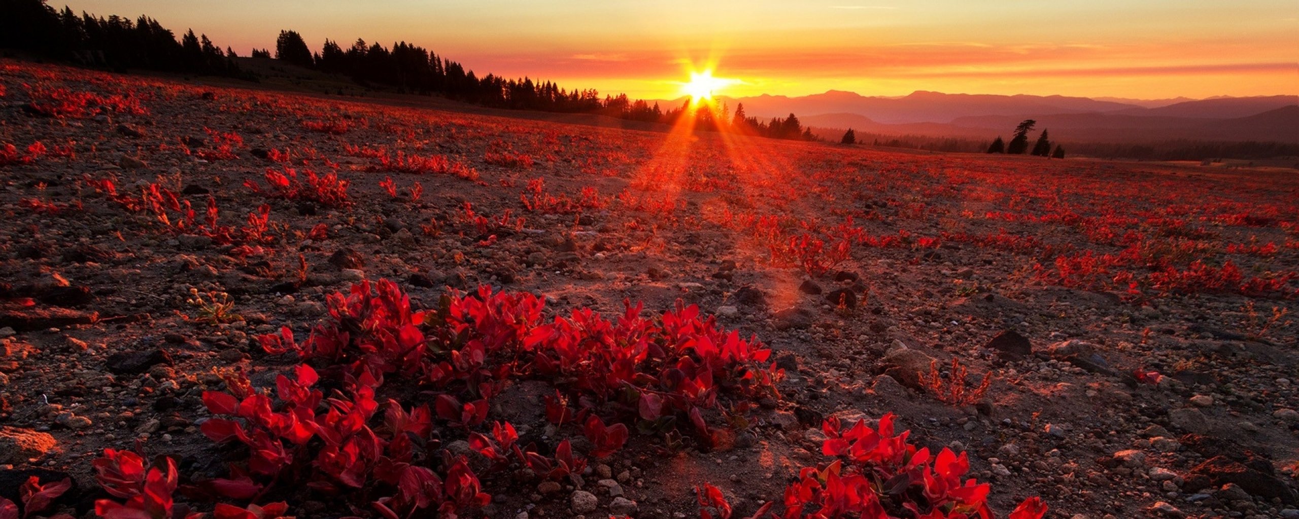 multi, Monitor, Dual, Screen, Widescreen Wallpaper