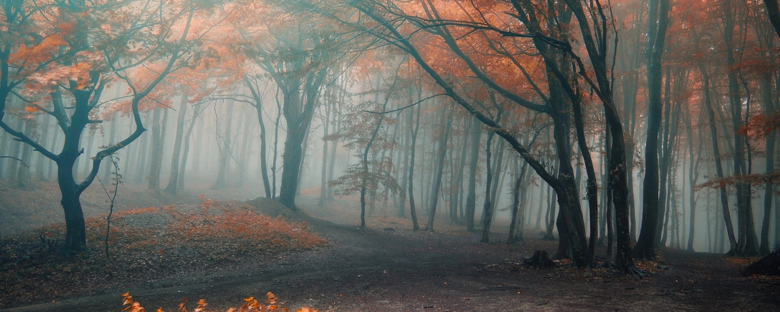 multi, Monitor, Dual, Screen, Widescreen Wallpaper