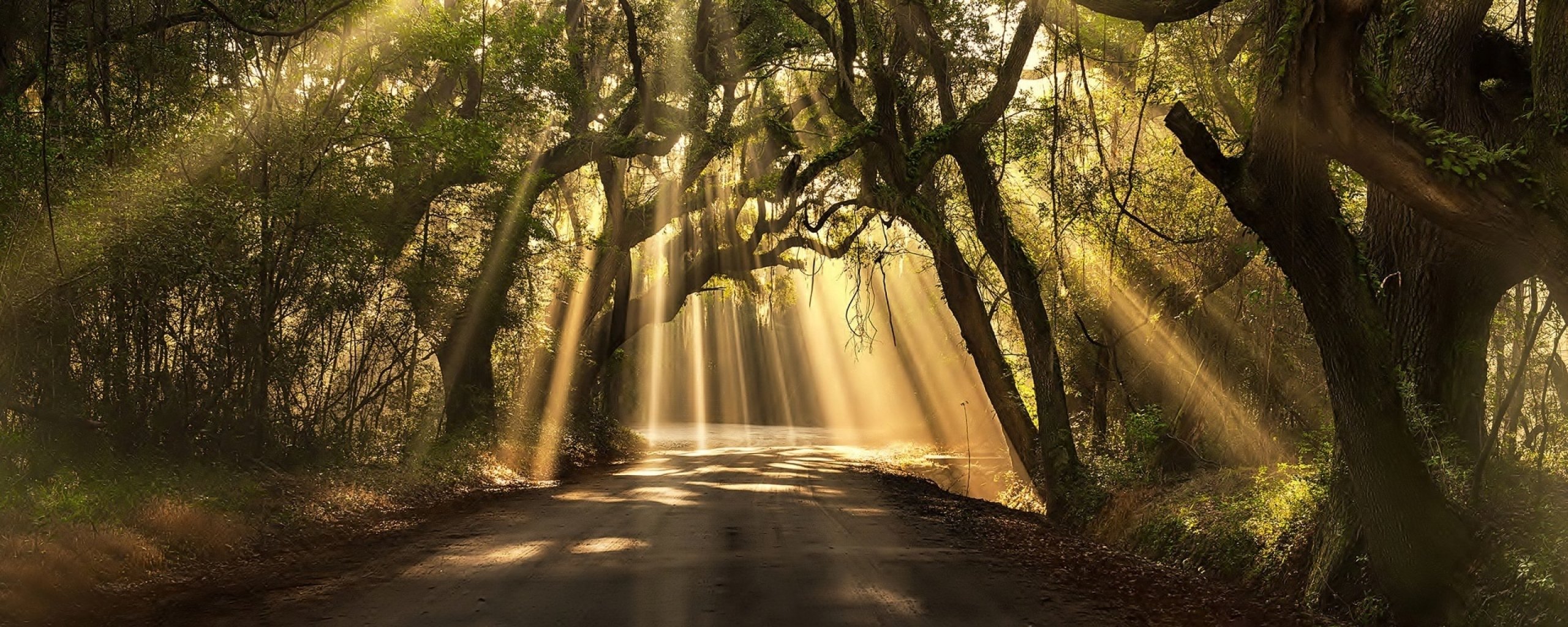 multi, Monitor, Dual, Screen, Widescreen Wallpaper