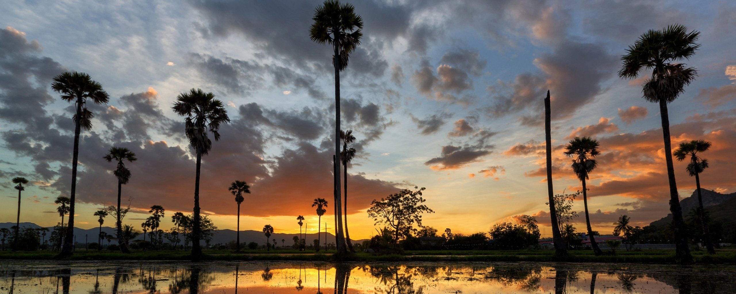 multi, Monitor, Dual, Screen, Widescreen Wallpaper