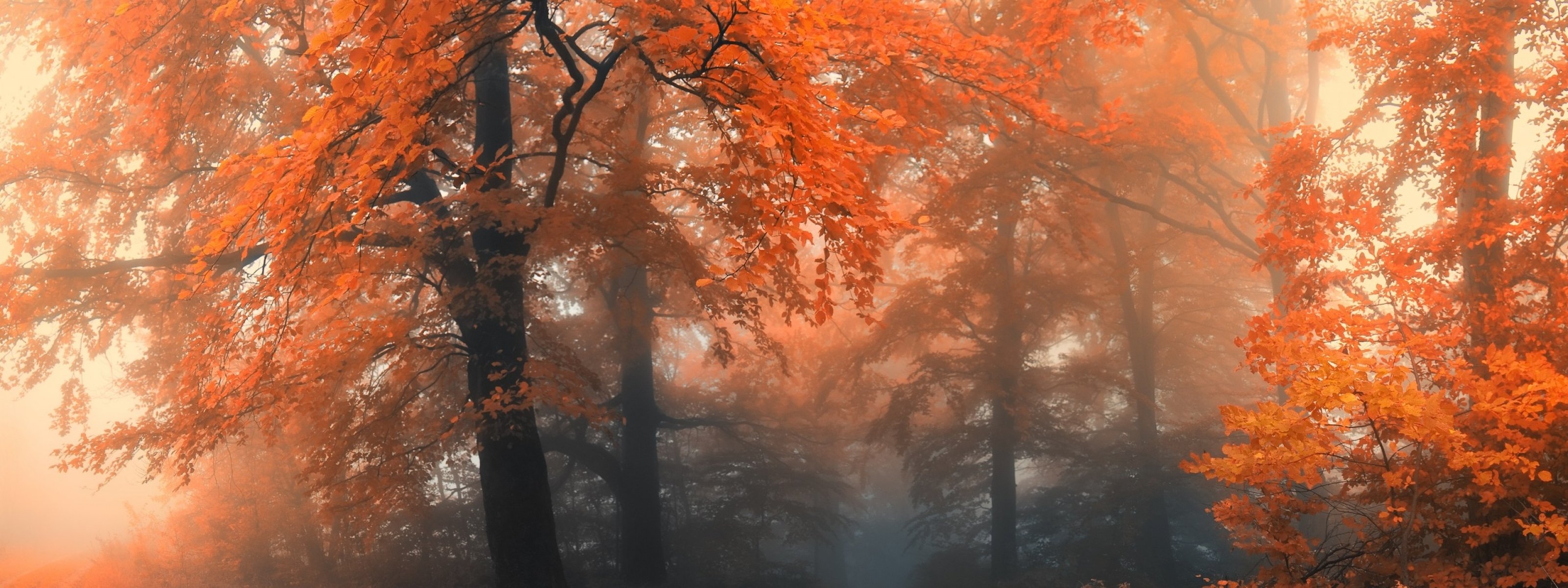 multi, Monitor, Dual, Screen, Widescreen Wallpaper