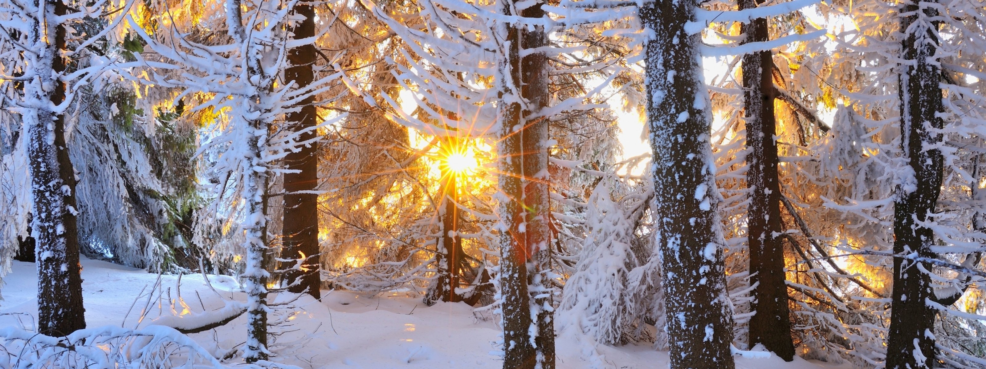 multi, Monitor, Dual, Screen, Widescreen Wallpaper