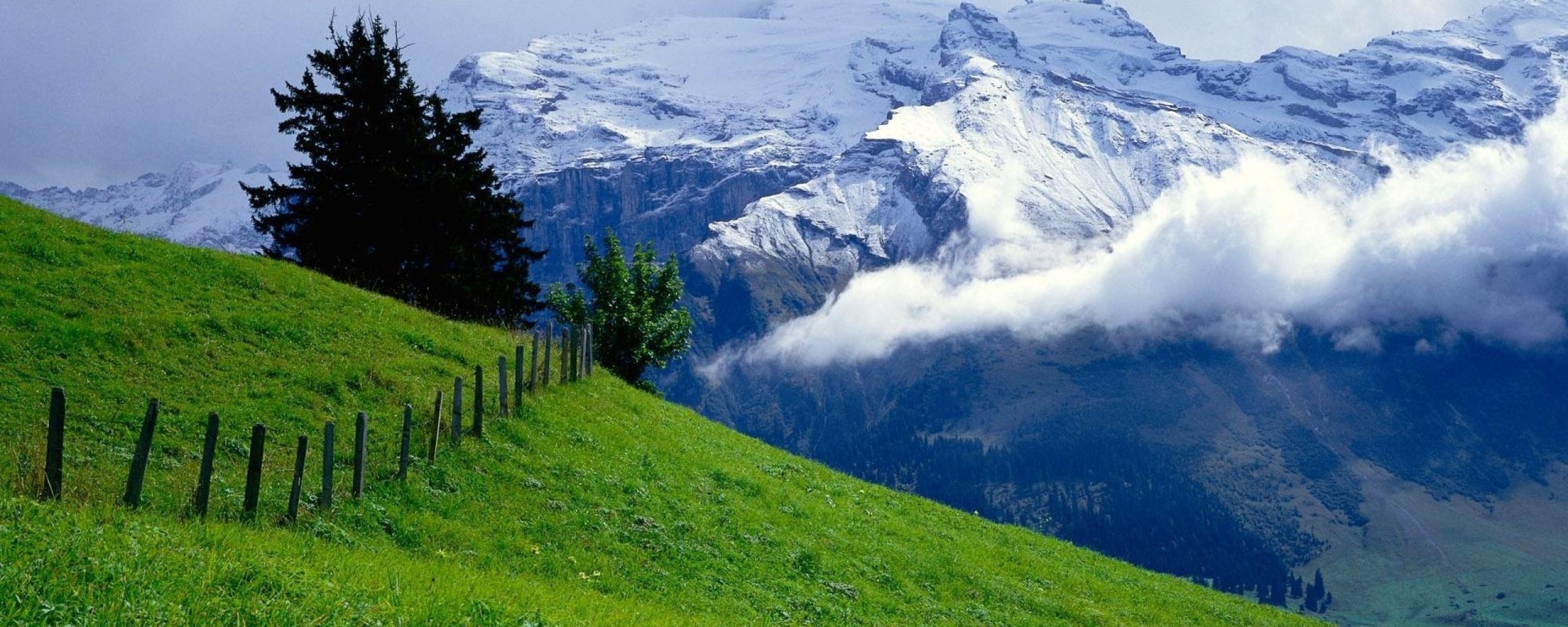 multi, Monitor, Dual, Screen, Widescreen Wallpaper