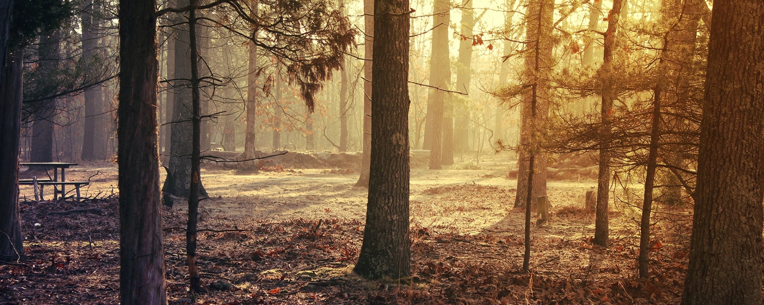 multi, Monitor, Dual, Screen, Widescreen Wallpaper