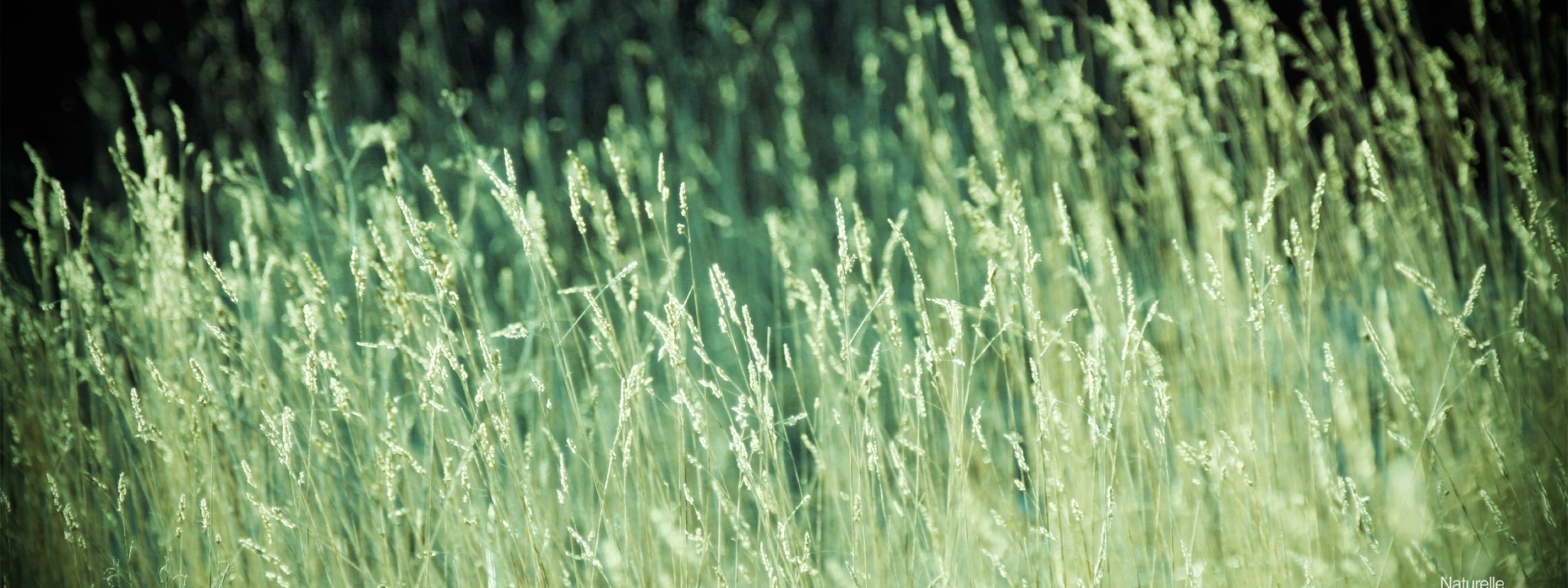 multi, Monitor, Dual, Screen, Widescreen Wallpaper