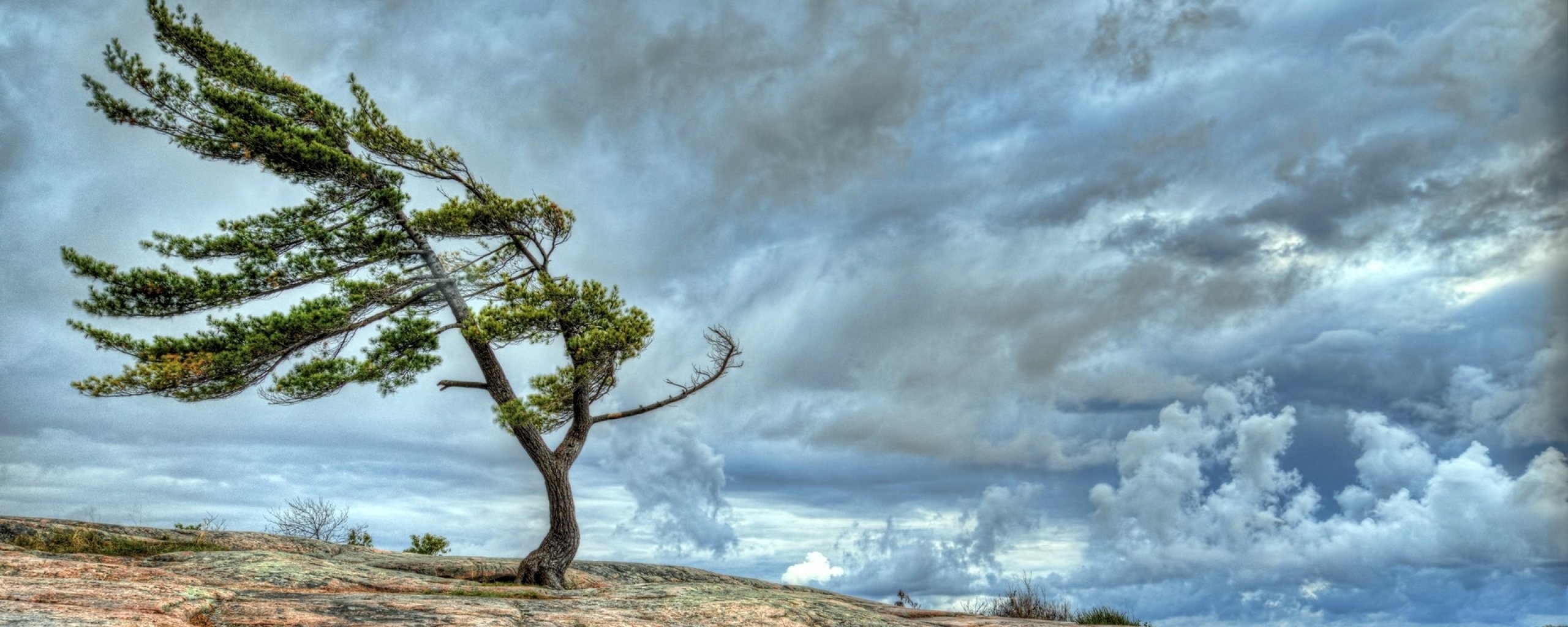 multi, Monitor, Dual, Screen, Widescreen Wallpaper