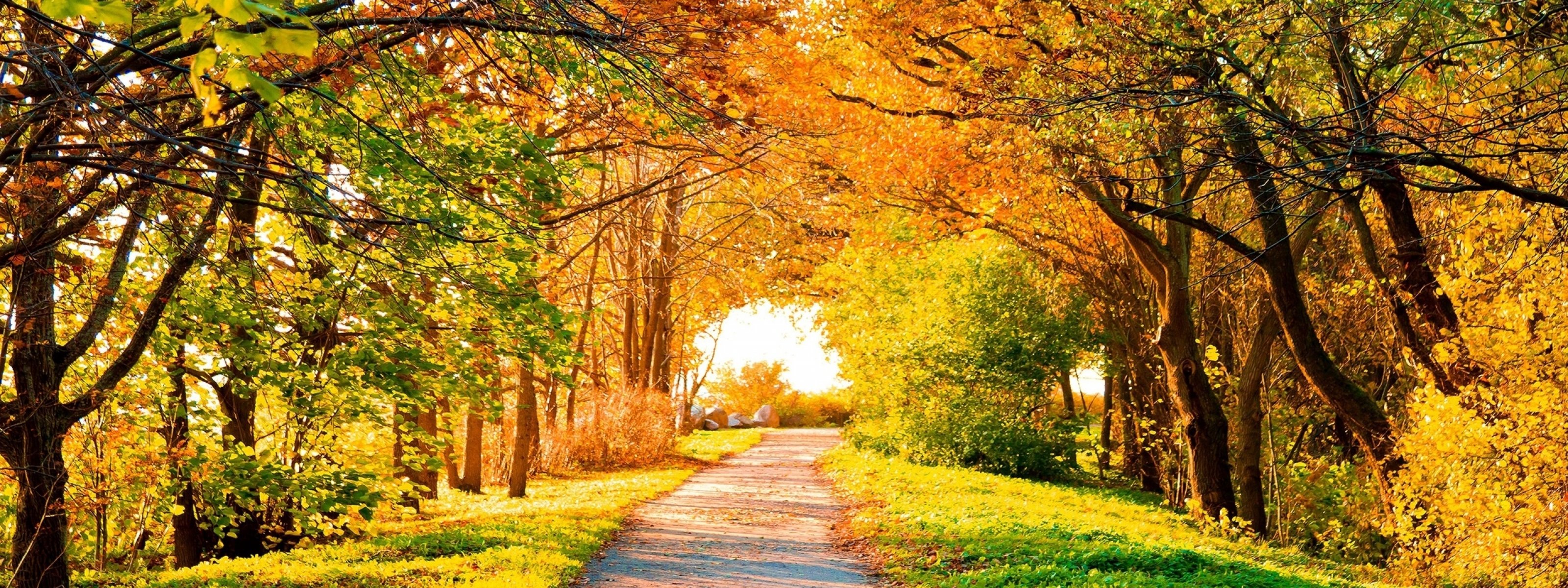 multi, Monitor, Dual, Screen, Widescreen Wallpaper