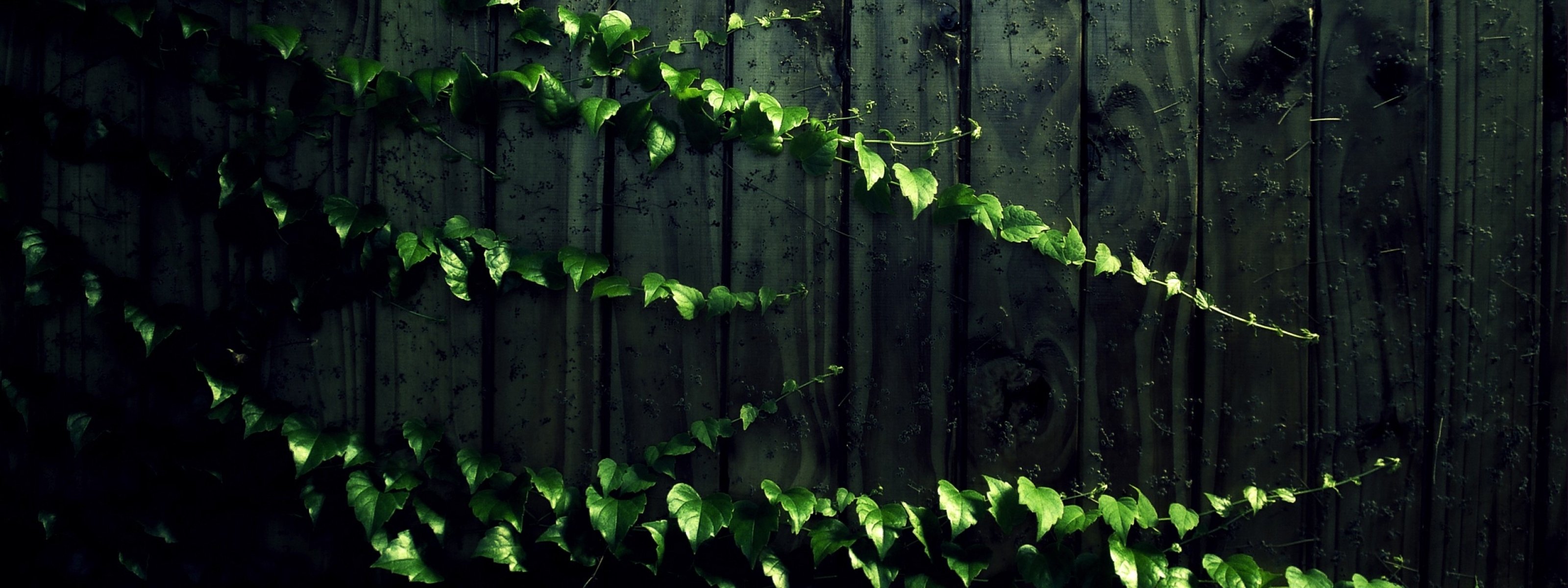 multi, Monitor, Dual, Screen, Widescreen Wallpaper