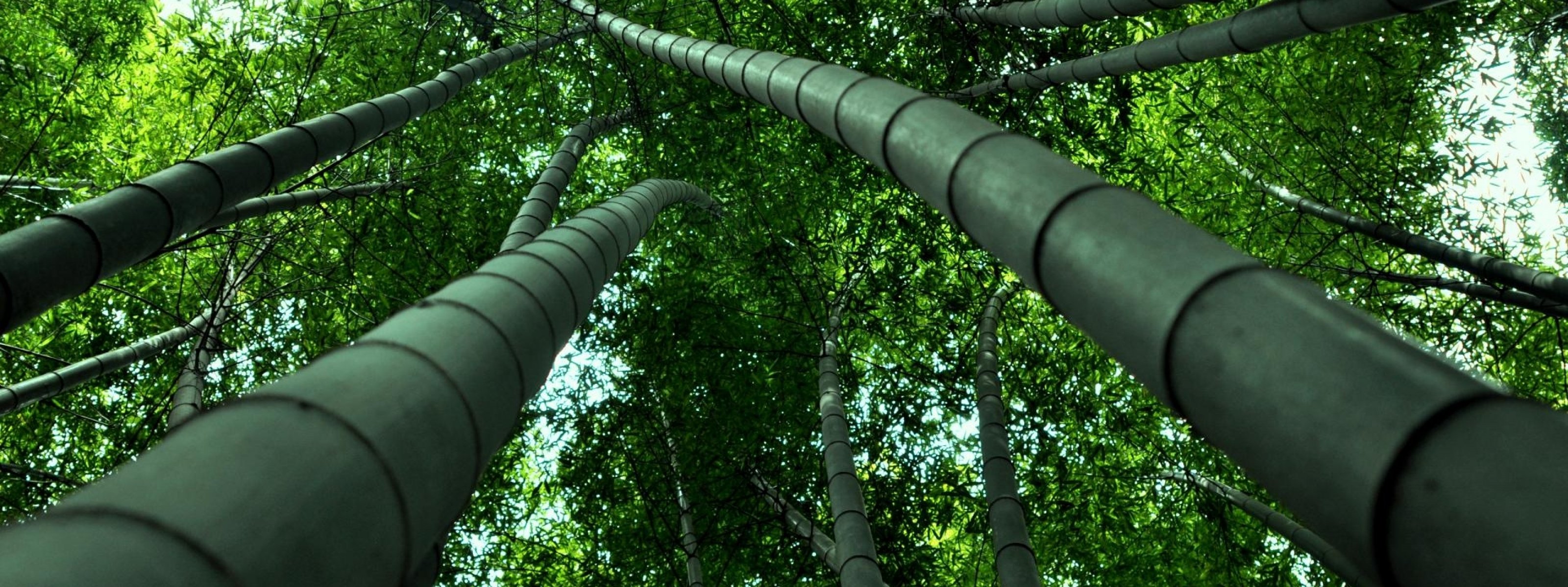 multi, Monitor, Dual, Screen, Widescreen Wallpaper