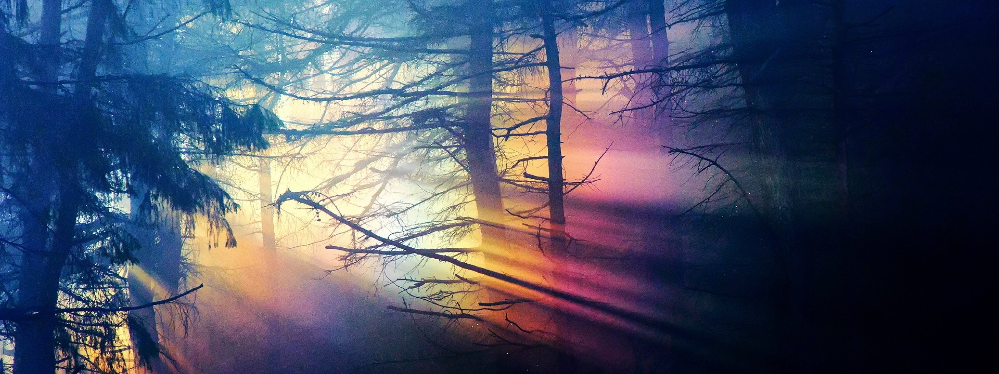 multi, Monitor, Dual, Screen, Widescreen Wallpaper