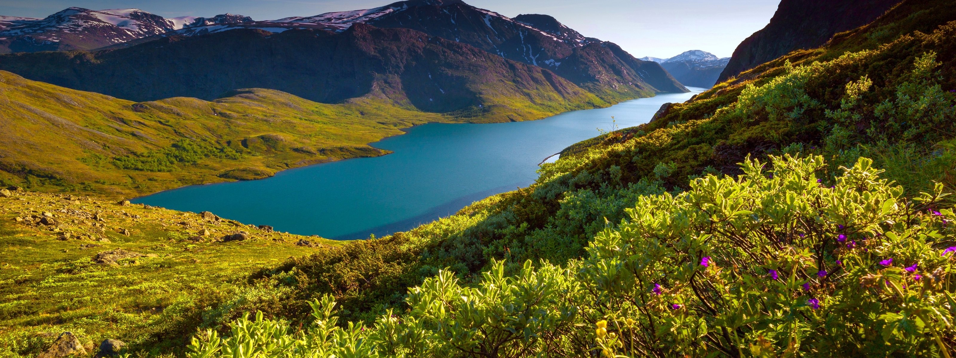 multi, Monitor, Dual, Screen, Widescreen Wallpaper