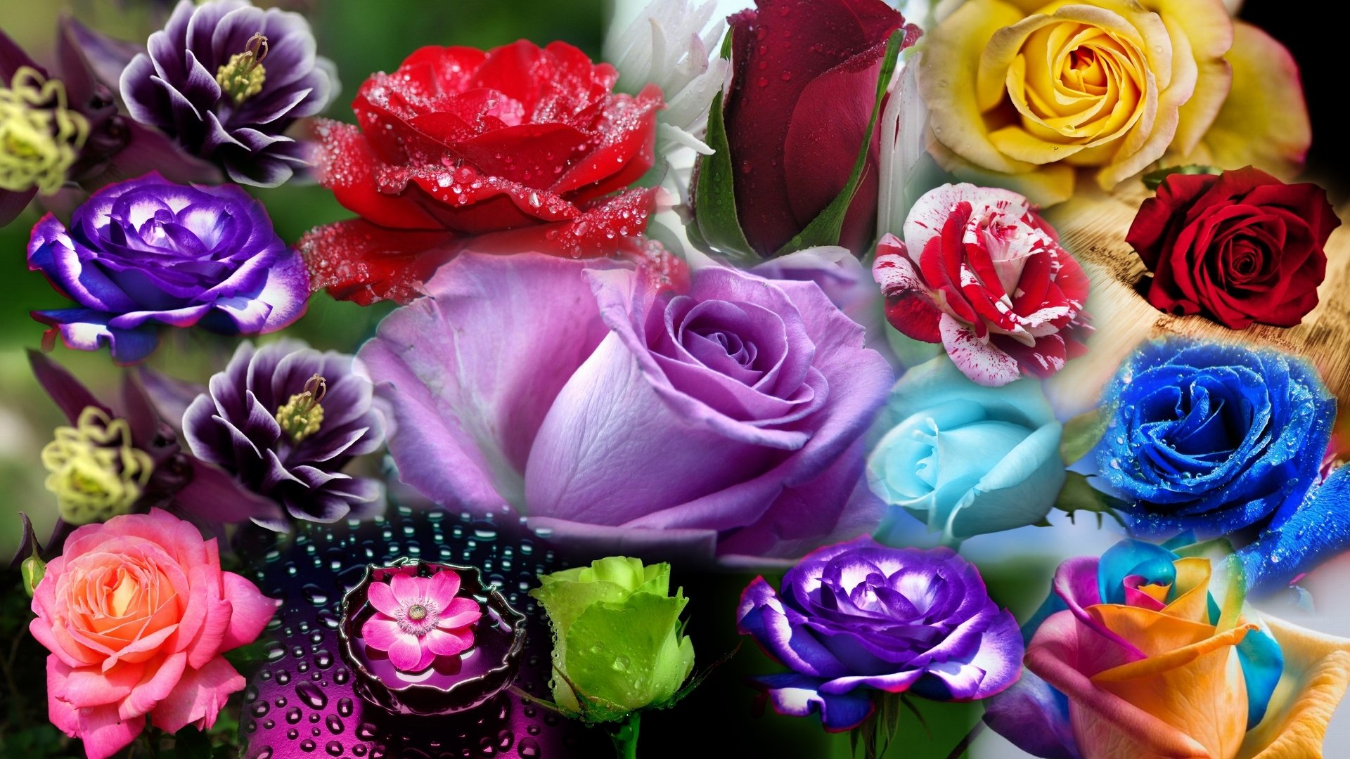 my, Bouquet Wallpaper