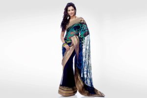 bollywood, Actress, Model, Girl, Beautiful, Brunette, Pretty, Cute, Beauty, Sexy, Hot, Pose, Face, Eyes, Hair, Lips, Smile, Figure, Saree