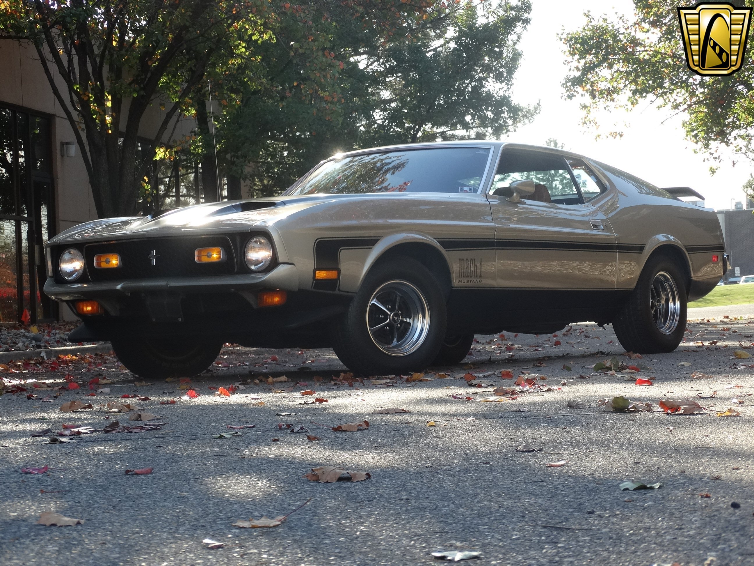 1971, Ford, Mustang, Mach 1, Cars Wallpaper