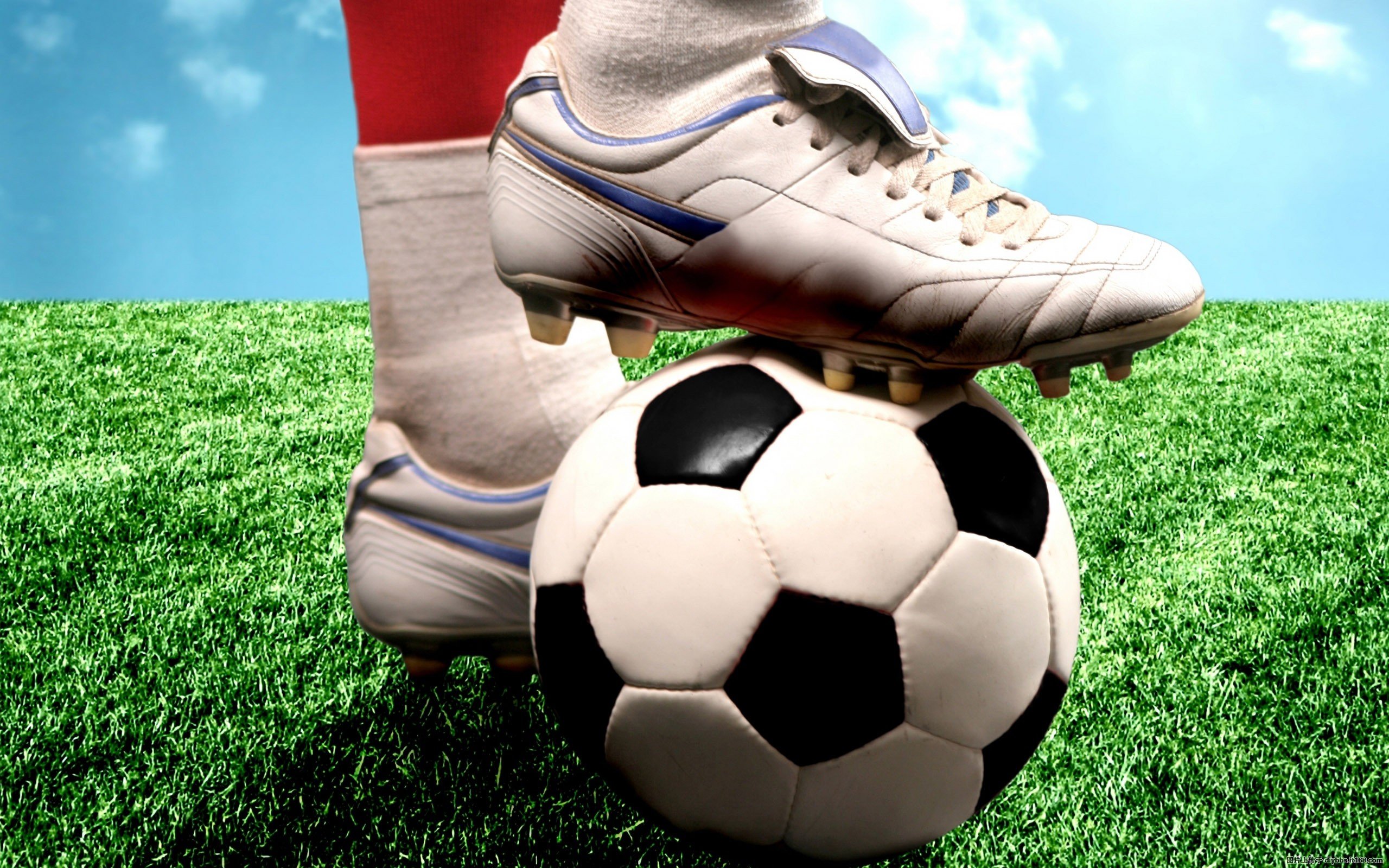 soccer, Sports, Sport, Poster Wallpaper