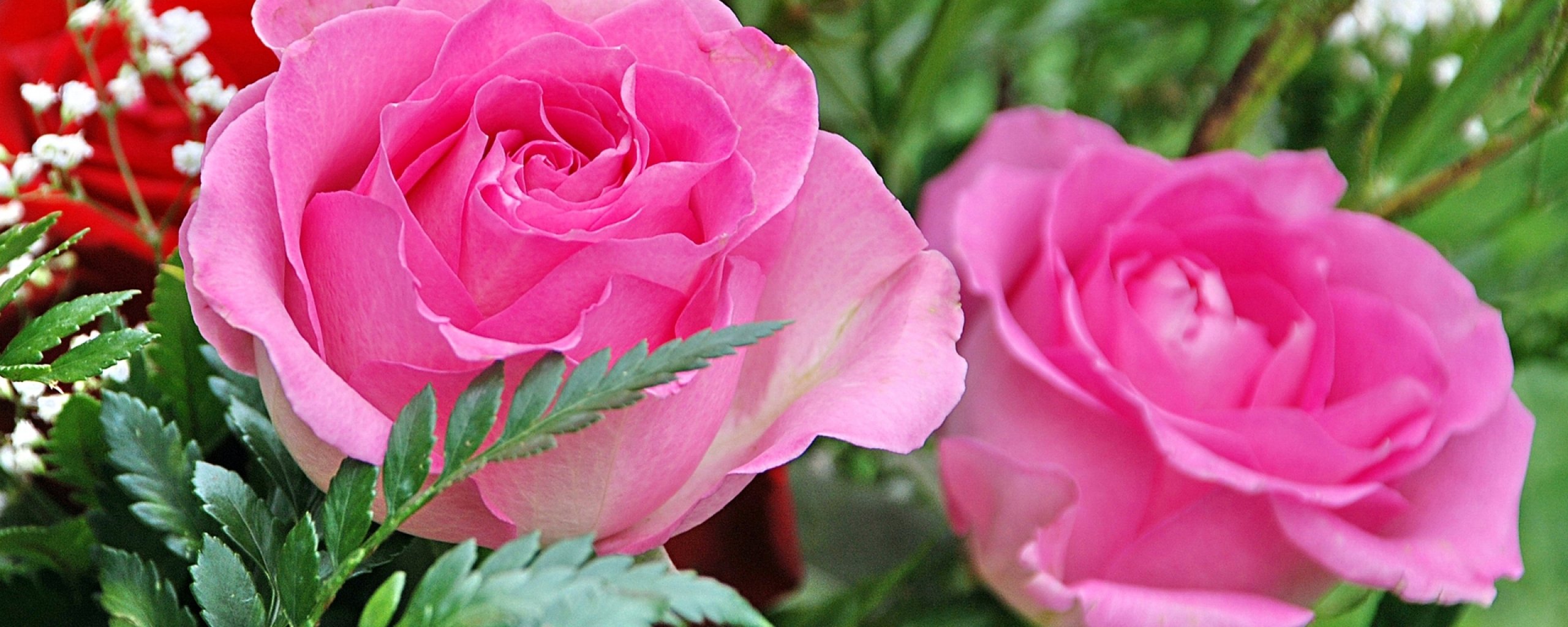 multi, Monitor, Dual, Screen, Widescreen Wallpaper