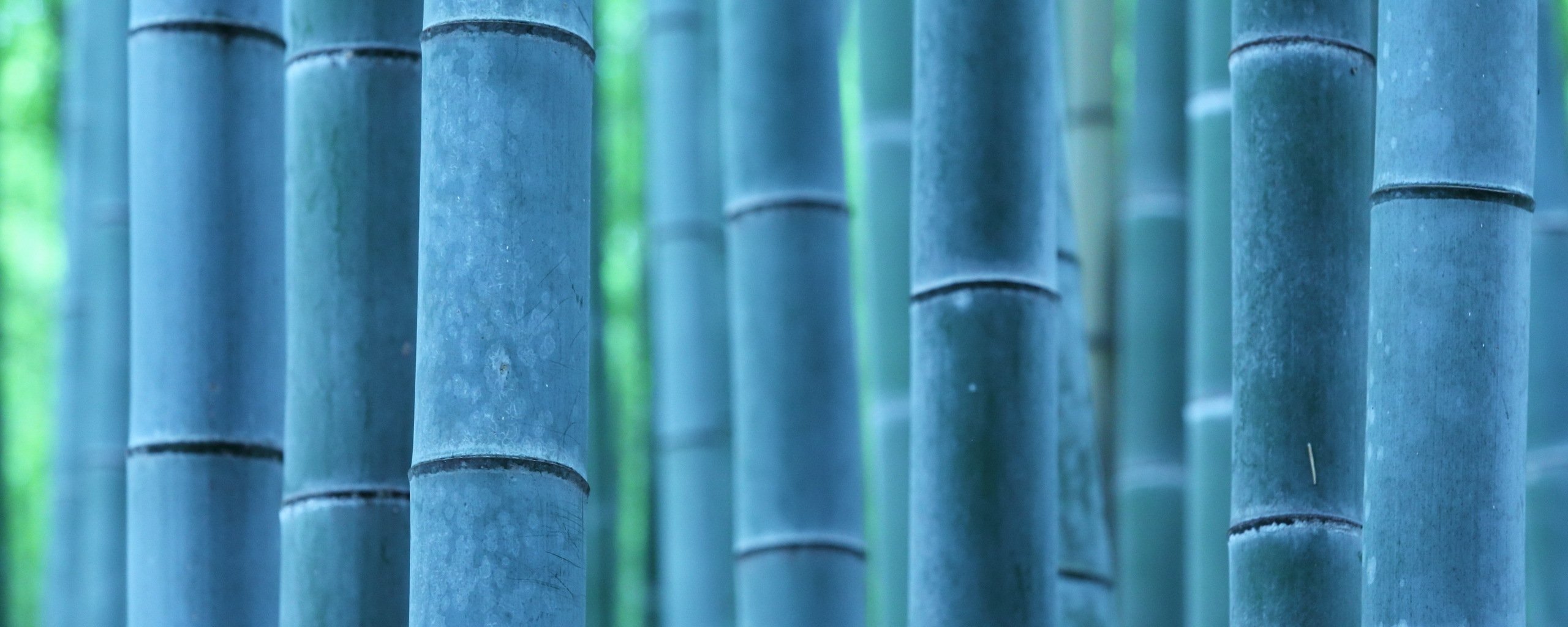 multi, Monitor, Dual, Screen, Widescreen Wallpaper