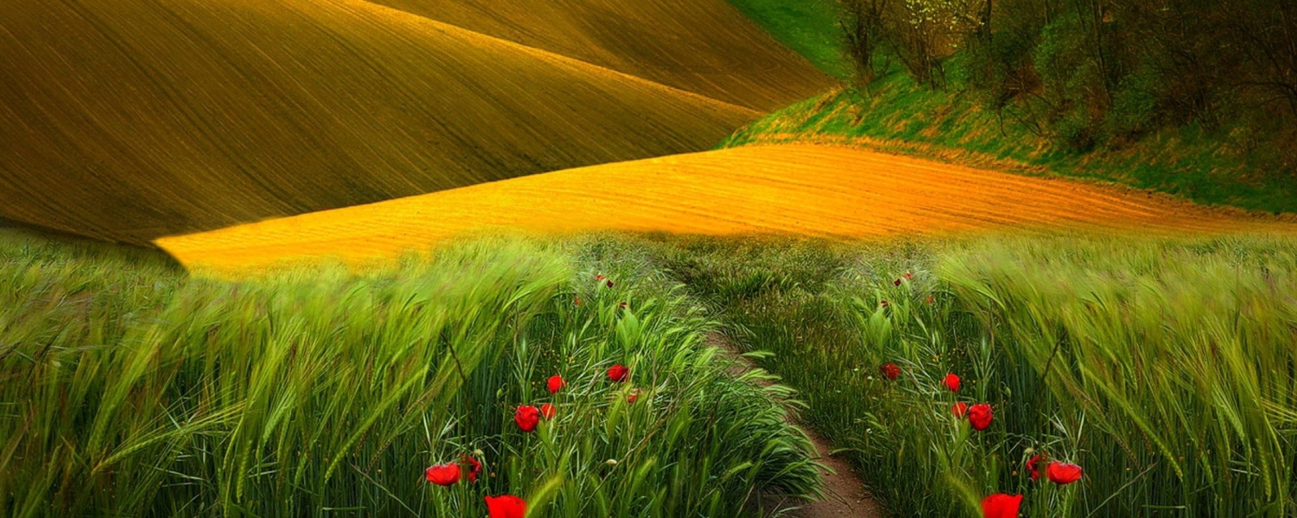 multi, Monitor, Dual, Screen, Widescreen Wallpaper