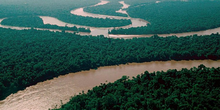 rio, Amazonas, Selva, Brasil HD Wallpaper Desktop Background