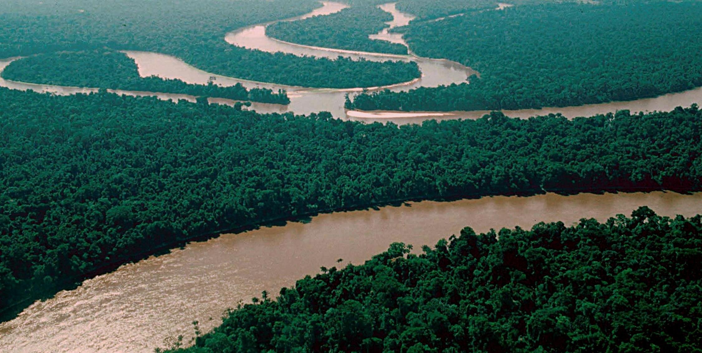 rio, Amazonas, Selva, Brasil Wallpaper