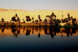 rio, Nilo, Egipto, Palmeras, Desierto