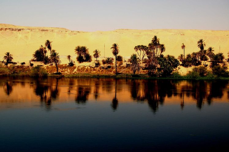 rio, Nilo, Egipto, Palmeras, Desierto HD Wallpaper Desktop Background