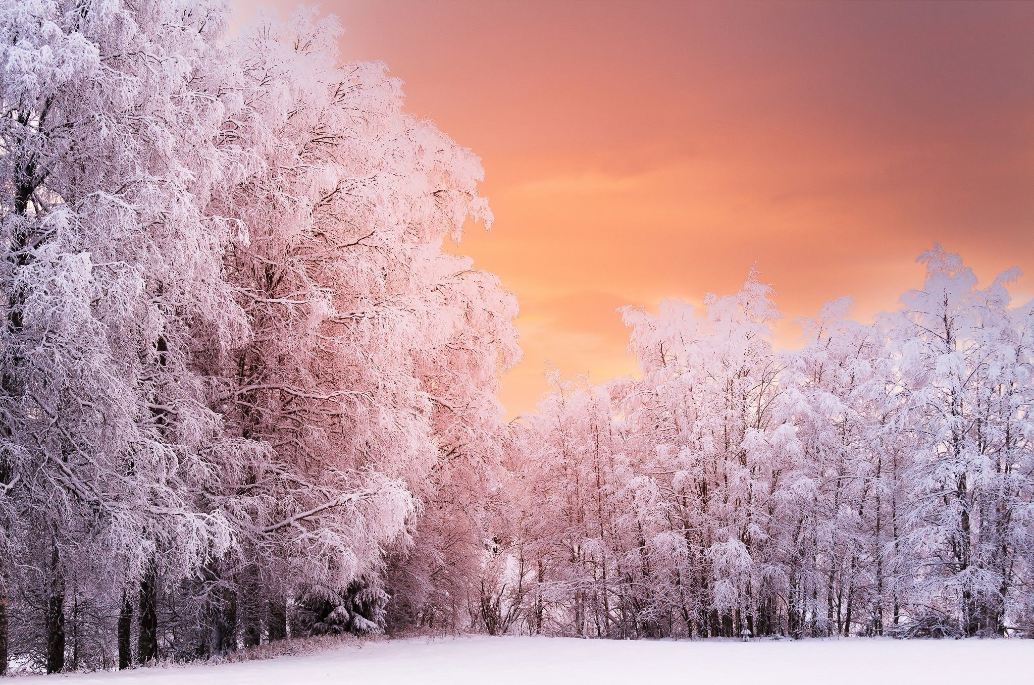 winter, Snow, Landscape, Nature Wallpaper