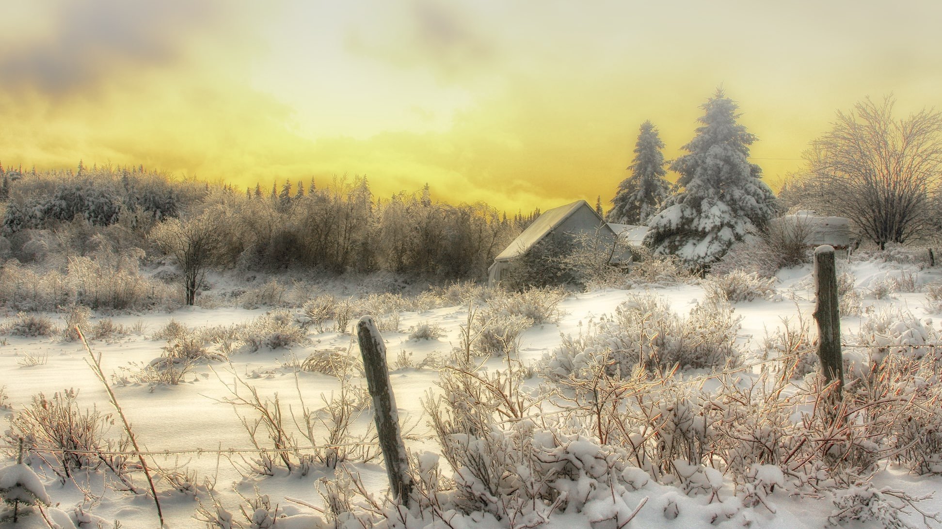 winter, Snow, Landscape, Nature Wallpaper