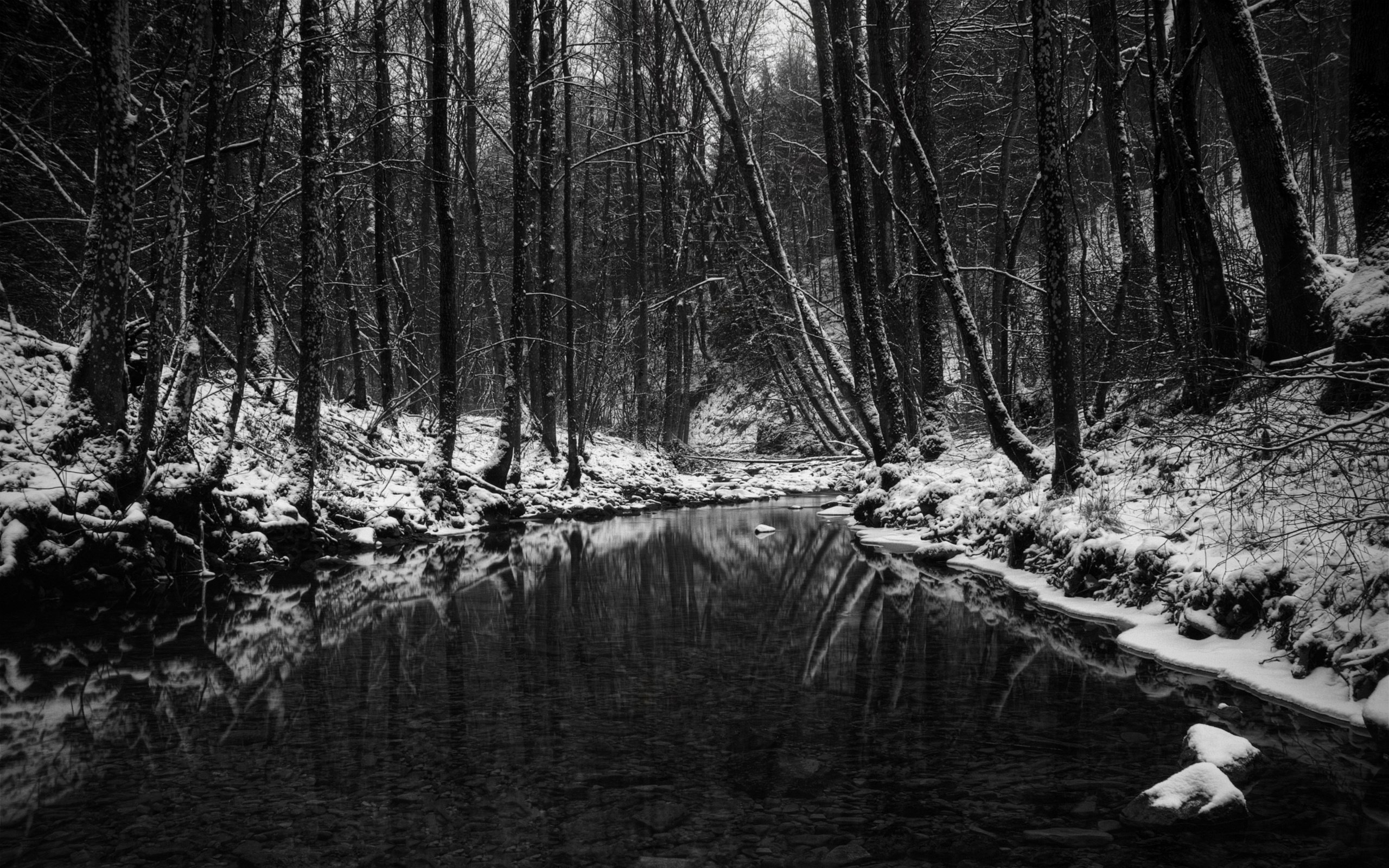 winter, Snow, Landscape, Nature Wallpaper
