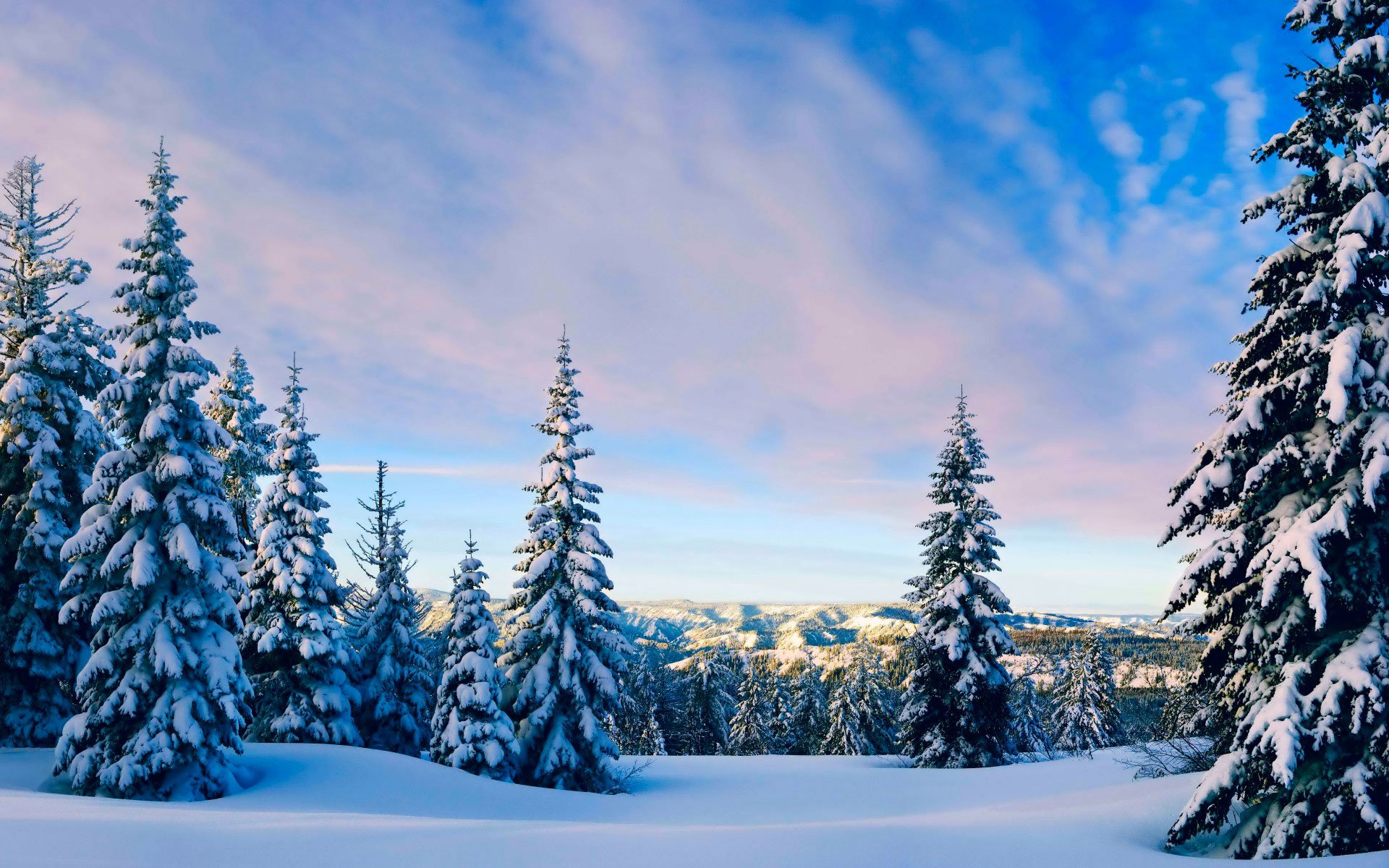 winter, Snow, Landscape, Nature Wallpaper