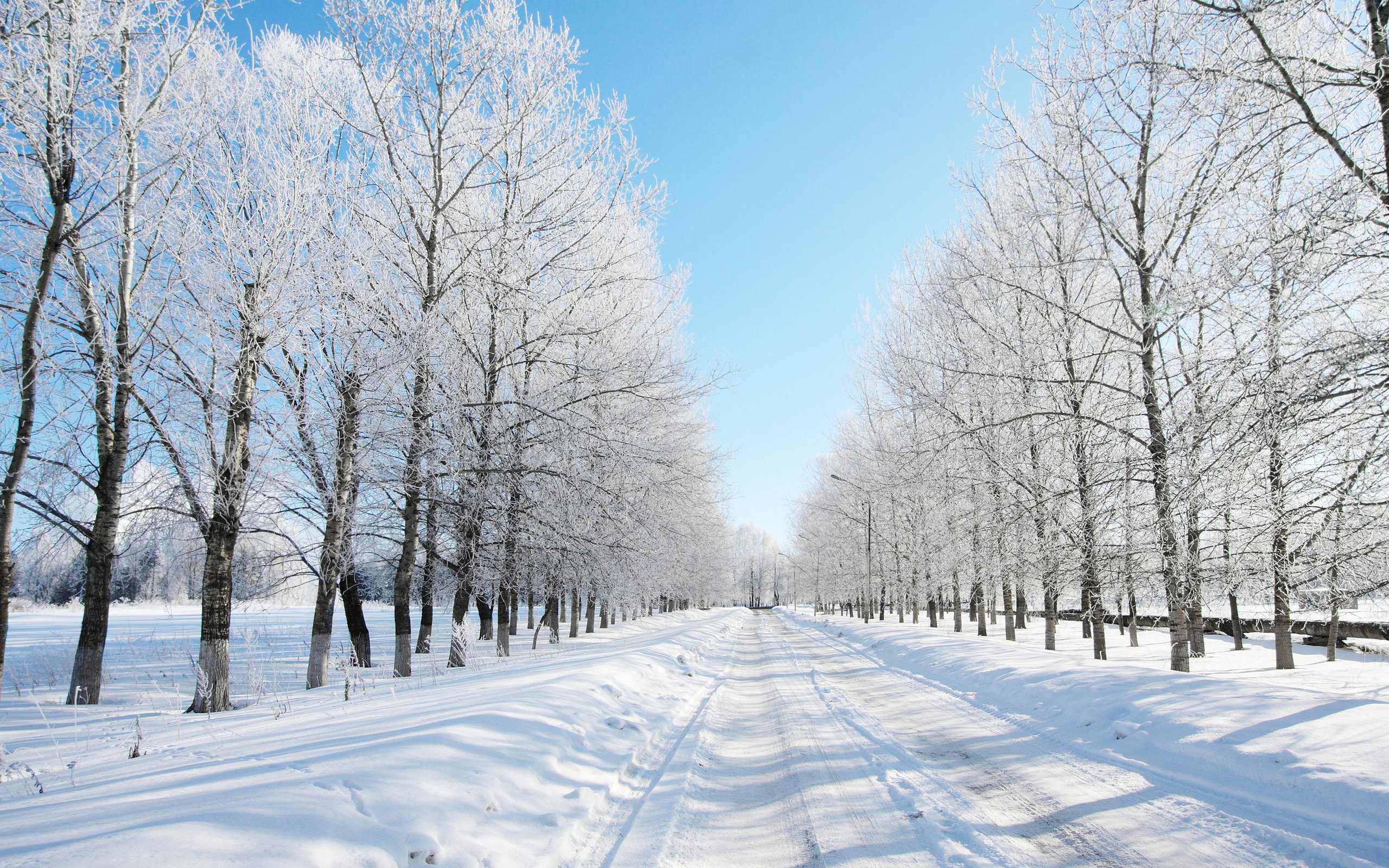 winter, Snow, Landscape, Nature Wallpaper