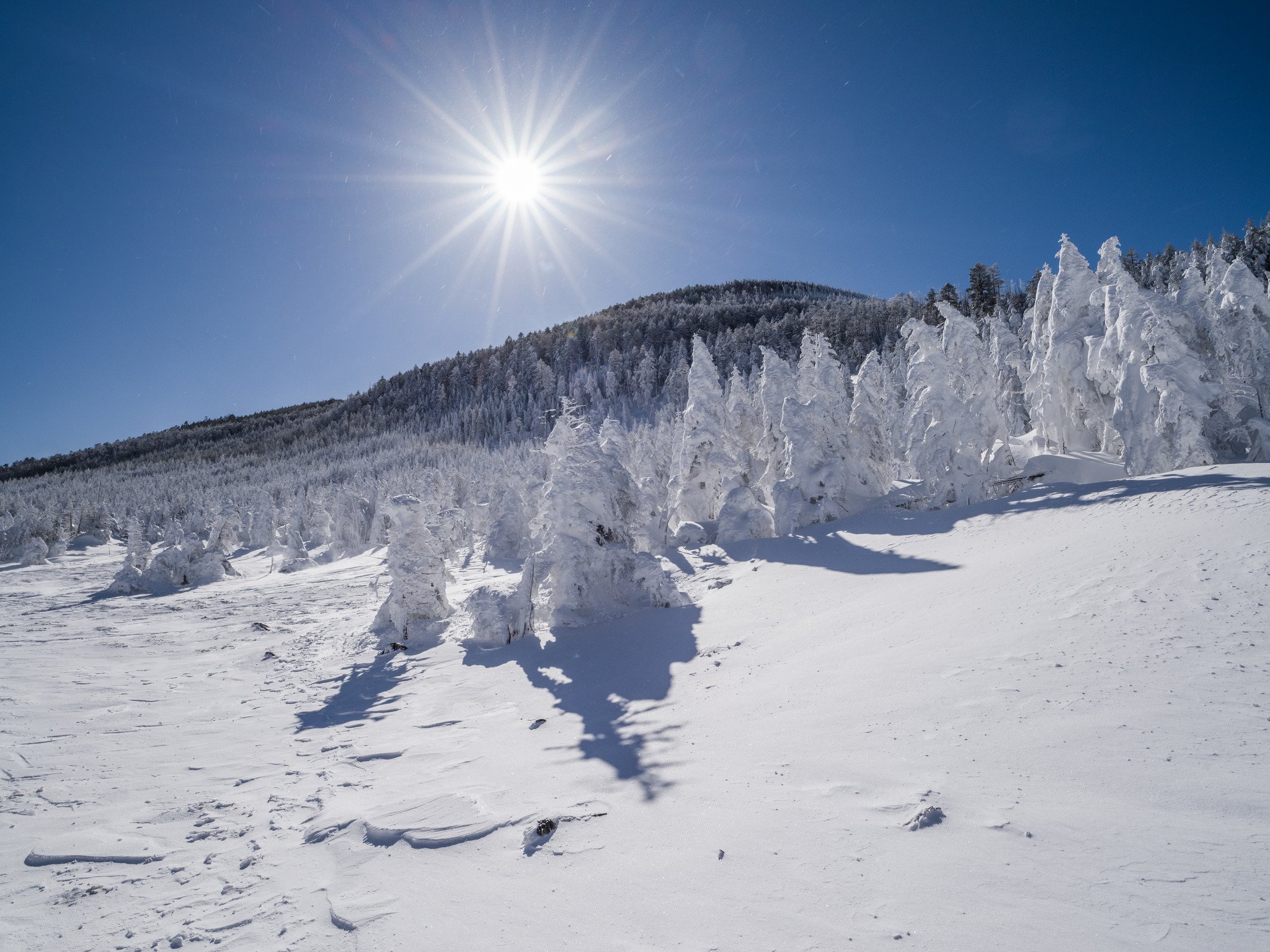 winter, Snow, Landscape, Nature Wallpaper