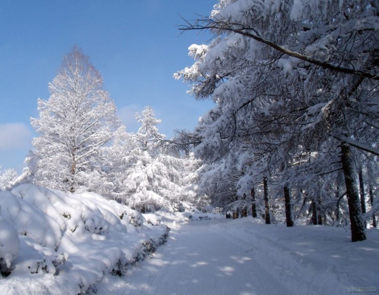 winter, Snow, Landscape, Nature HD Wallpaper Desktop Background