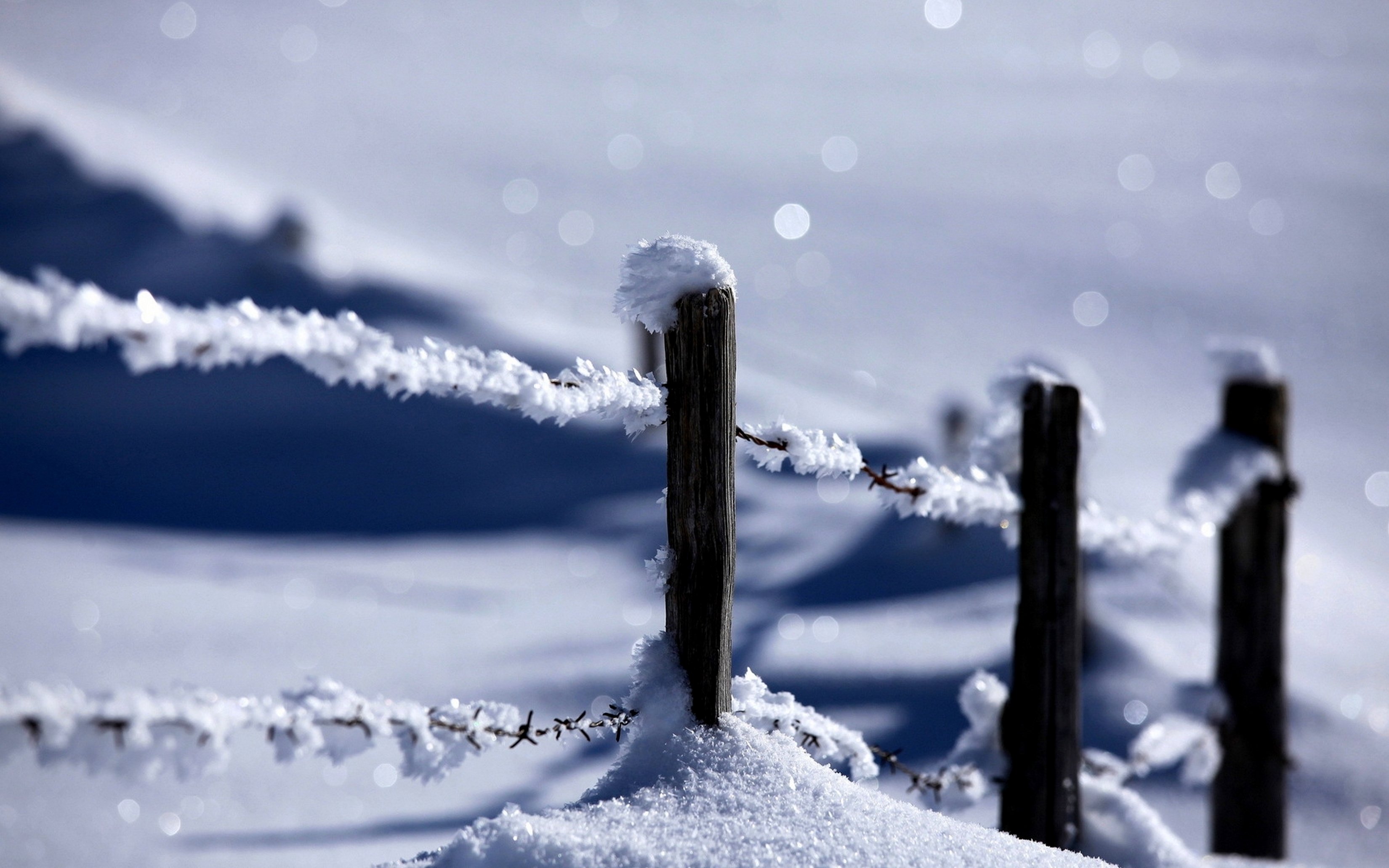 winter, Snow, Landscape, Nature Wallpaper