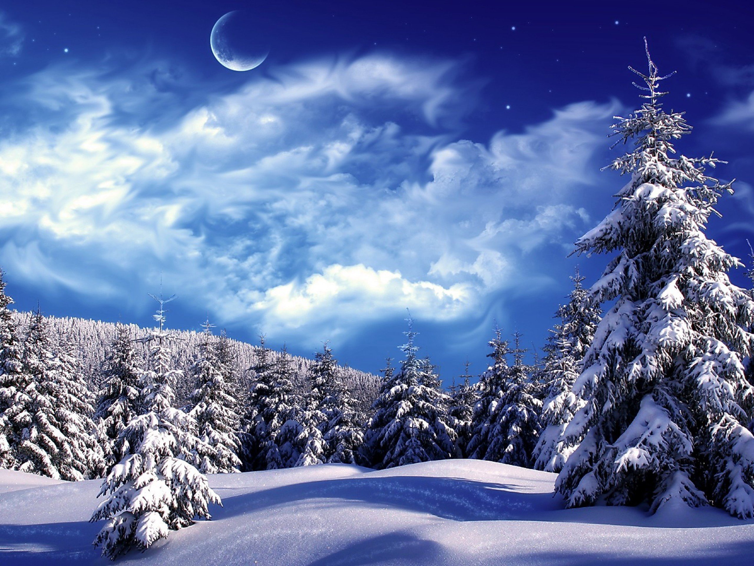 winter, Snow, Landscape, Nature, Moon Wallpaper