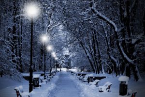 winter, Snow, Landscape, Nature, Lamp, Post, Light, Bench