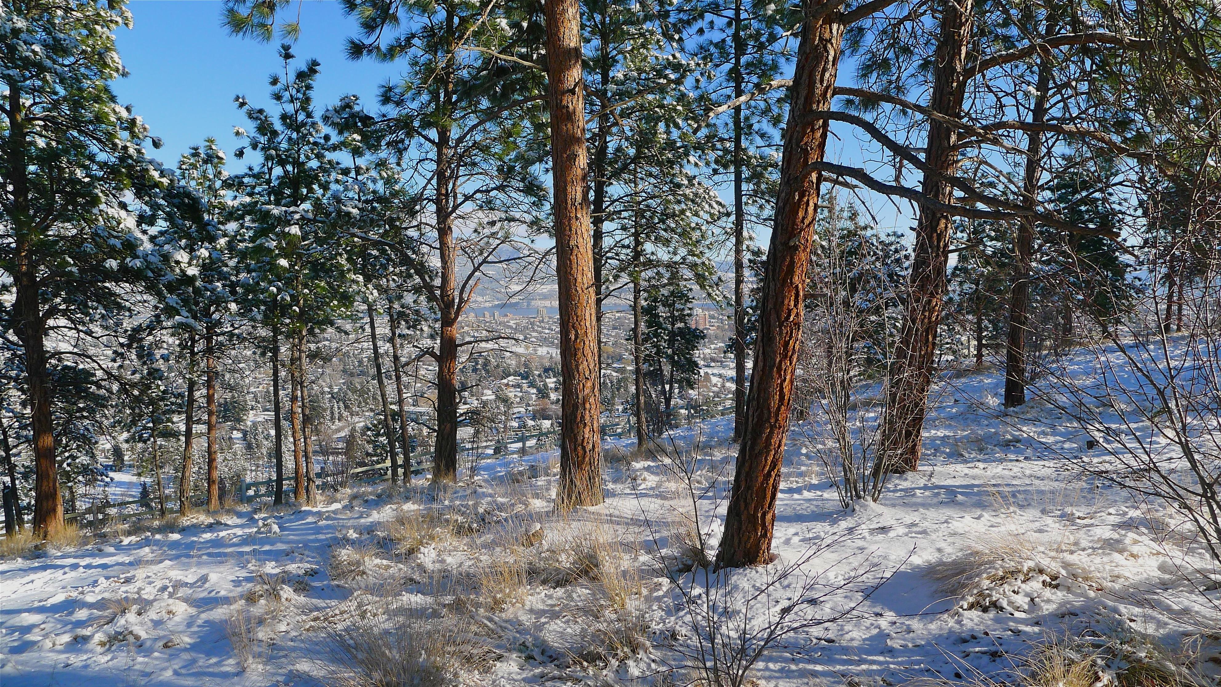 winter, Snow, Landscape, Nature Wallpaper