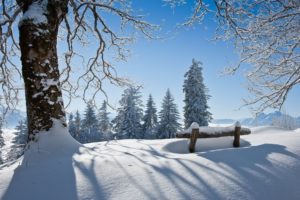 winter, Snow, Landscape, Nature, Bench