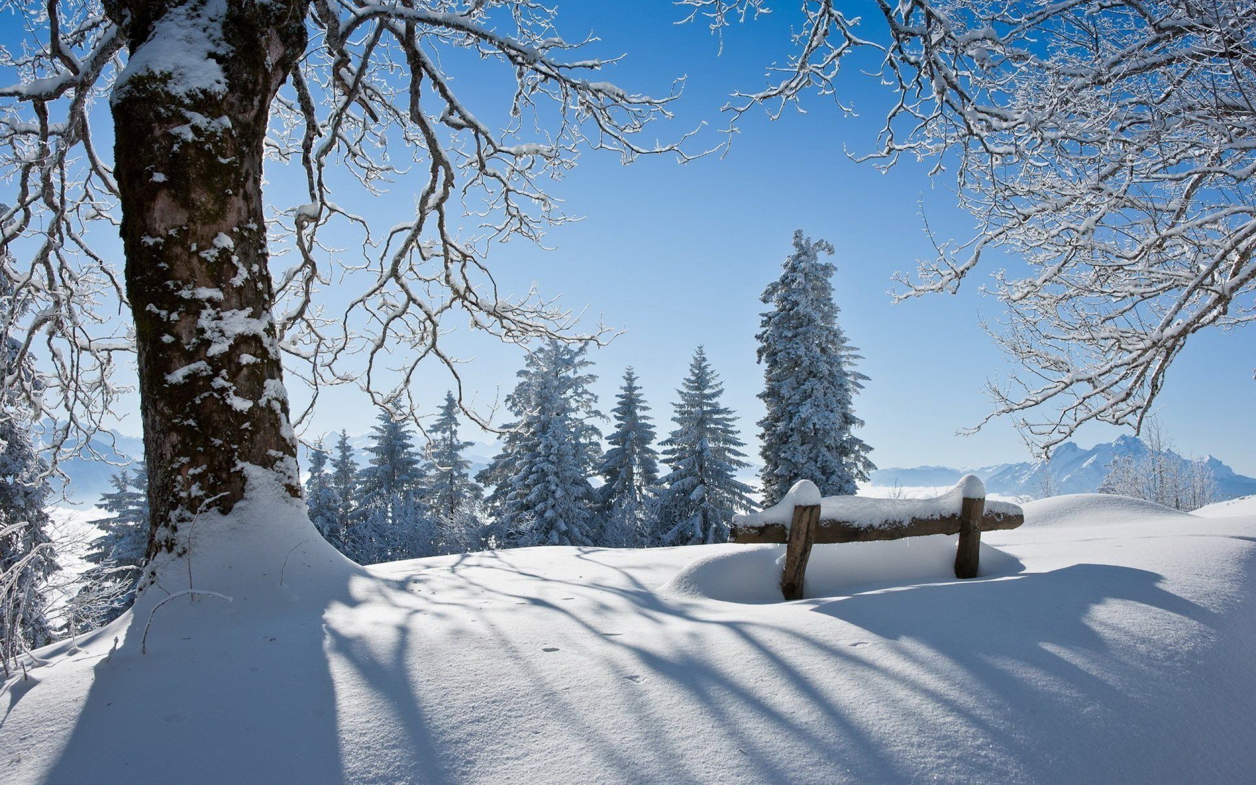 winter, Snow, Landscape, Nature, Bench Wallpaper