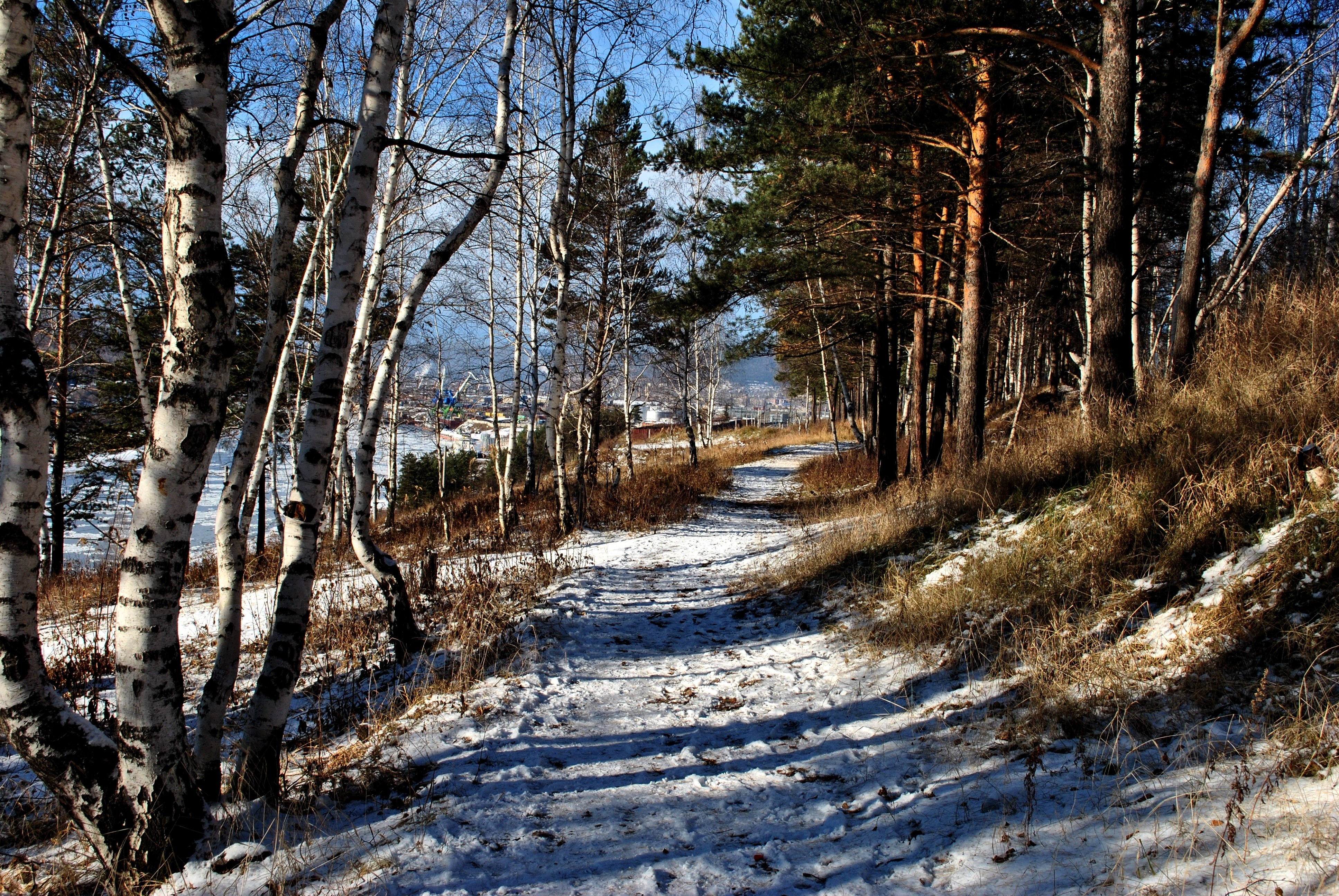 winter, Snow, Landscape, Nature Wallpaper