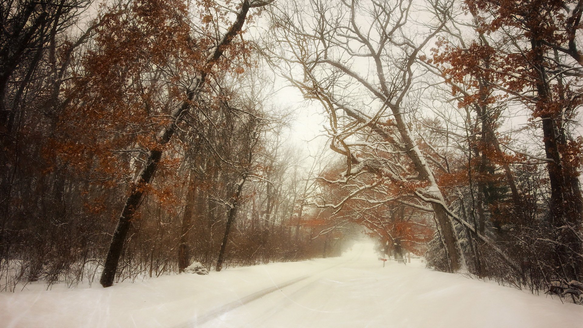 winter, Snow, Landscape, Nature Wallpaper