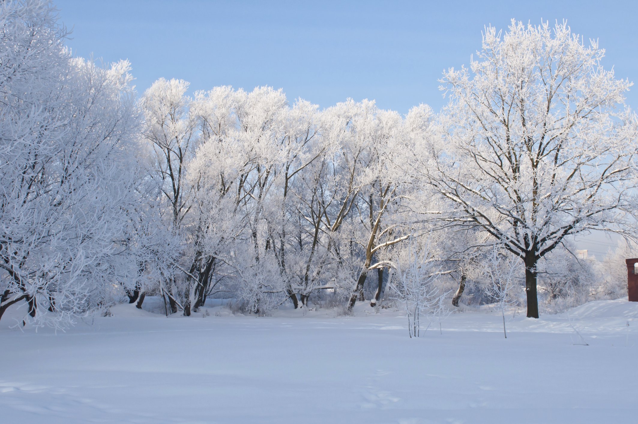 winter, Snow, Landscape, Nature Wallpaper