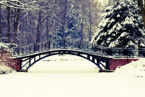 winter, Snow, Landscape, Nature, Bridge, River