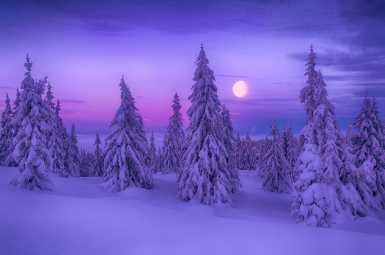 winter, Snow, Landscape, Nature, Moon HD Wallpaper Desktop Background