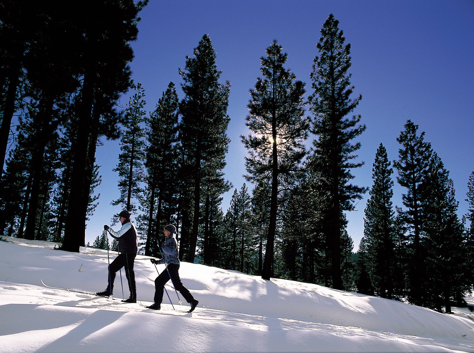 winter, Snow, Landscape, Nature, Ski Wallpaper